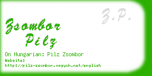zsombor pilz business card